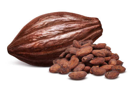 カカオの画像
